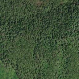 Satellite imagery of Mount Rivers, CA