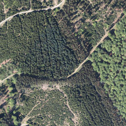 Satellite imagery of Greverhagen, DE