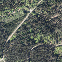 Satellite imagery of Warsteiner-Kopf, DE