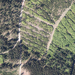Satellite imagery of Warsteiner-Kopf, DE