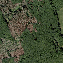 Satellite imagery of Butterberg, DE