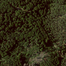 Satellite imagery of Heidelbeerenberg, DE