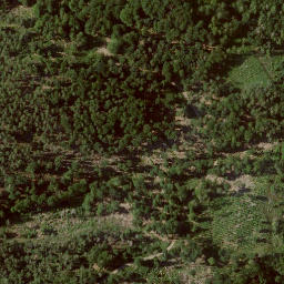 Satellite imagery of Heidelbeerenberg, DE