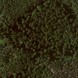 Satellite imagery of Heidelbeerenberg, DE
