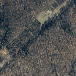Satellite imagery of Wildhecker Kopf, DE