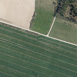 Satellite imagery of Mühlberg, DE