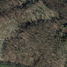 Satellite imagery of Dachsberg, DE
