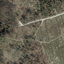 Satellite imagery of Dachsberg, DE
