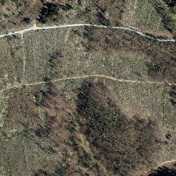 Satellite imagery of Dachsberg, DE
