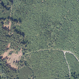 Satellite imagery of Küppel, DE