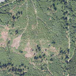 Satellite imagery of Greverhagen, DE