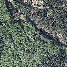 Satellite imagery of Greverhagen, DE