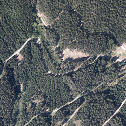 Satellite imagery of Wahlberg, DE