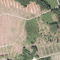 Satellite imagery of Voßberg, DE