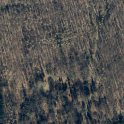 Satellite imagery of Wildhecker Kopf, DE