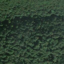 Satellite imagery of Feuerkopf, DE