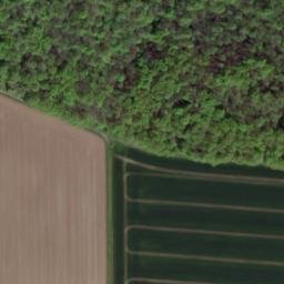 Satellite imagery of Sargberg, DE