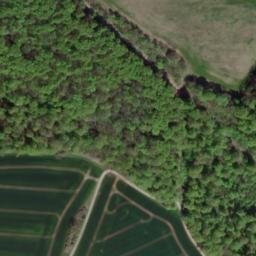 Satellite imagery of Sargberg, DE