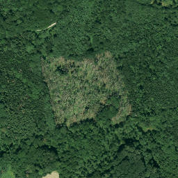 Satellite imagery of Rehberg, DE