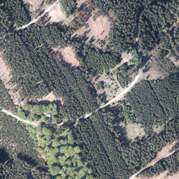 Satellite imagery of Wahlberg, DE