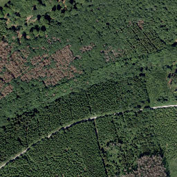 Satellite imagery of Mittelberg, DE