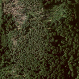 Satellite imagery of Burgberg, DE