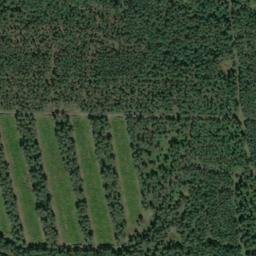 Satellite imagery of Grenzstein H 87 "Standesherrschaft Hoyerswerda", PL