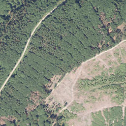 Satellite imagery of Papen-Berg, DE