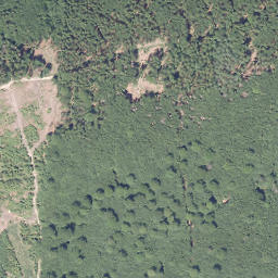Satellite imagery of Papen-Berg, DE