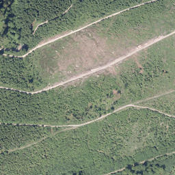 Satellite imagery of Sengenberg, DE