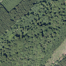 Satellite imagery of Hölzerner Peter, DE