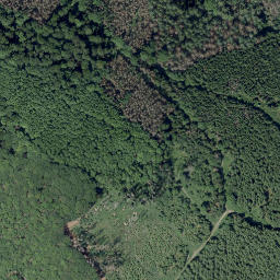 Satellite imagery of Eisenberg, DE