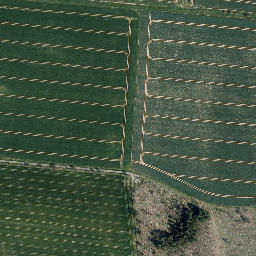 Satellite imagery of Roter Berg, DE