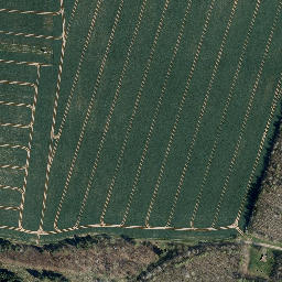 Satellite imagery of Roter Berg, DE