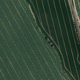 Satellite imagery of Mühlberg, DE