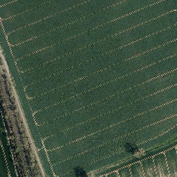 Satellite imagery of Mühlberg, DE
