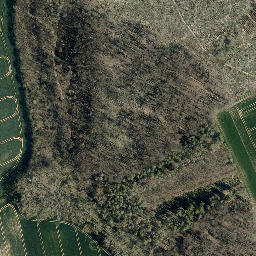 Satellite imagery of Mühlberg, DE