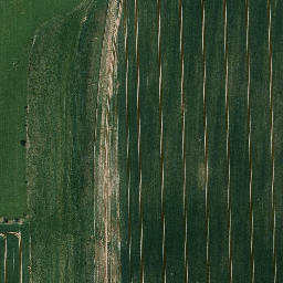 Satellite imagery of Heidelberg, DE