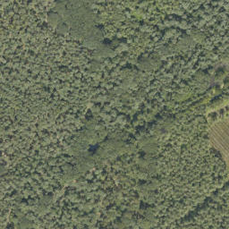 Satellite imagery of 253-B, NL