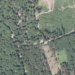 Satellite imagery of Papen-Berg, DE