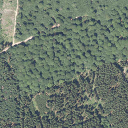 Satellite imagery of Papen-Berg, DE