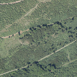 Satellite imagery of Sengenberg, DE