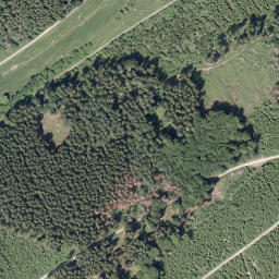 Satellite imagery of Langer-Berg, DE