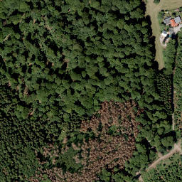 Satellite imagery of Eisenberg, DE