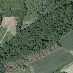 Satellite imagery of Eisenberg, DE