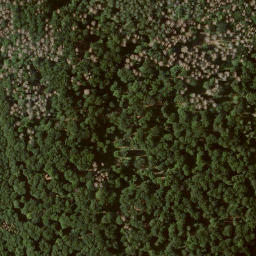 Satellite imagery of Burgberg, DE