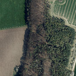 Satellite imagery of Wessen, DE