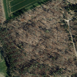 Satellite imagery of Heidelberg, DE