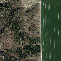 Satellite imagery of Heidelberg, DE