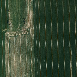 Satellite imagery of Heidelberg, DE
